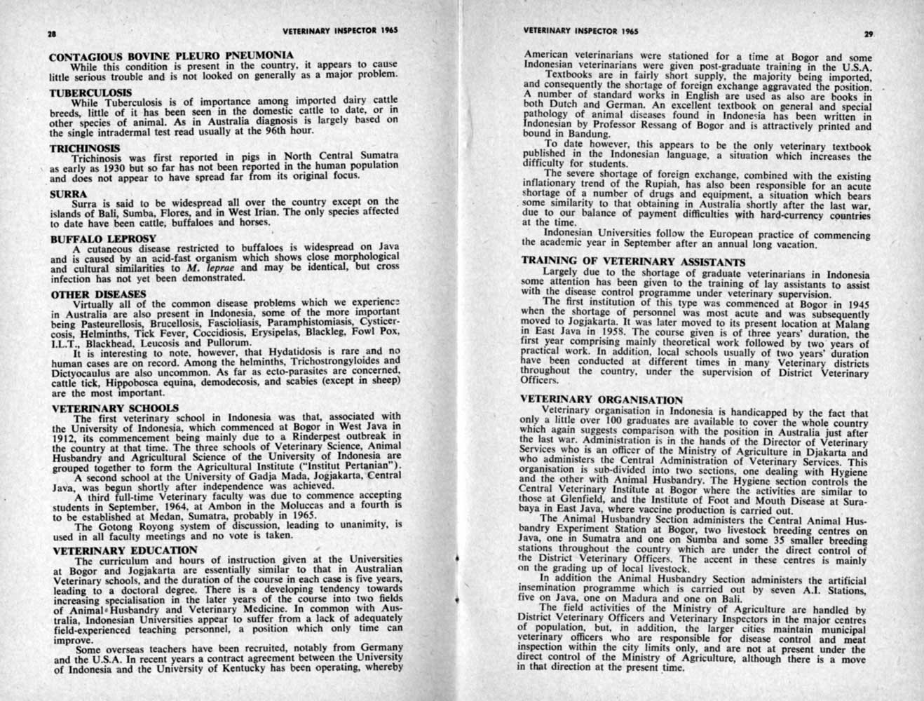 1965 Page 28 29